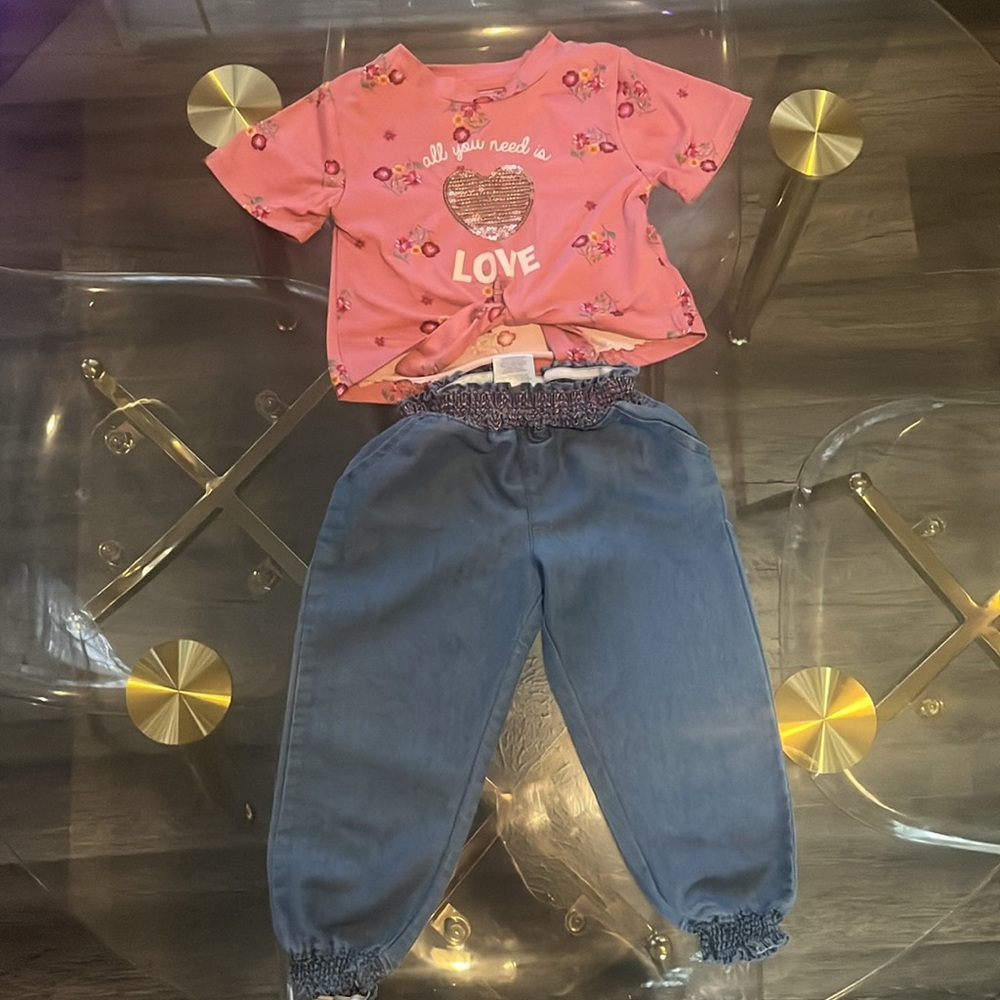3T toddler girl set